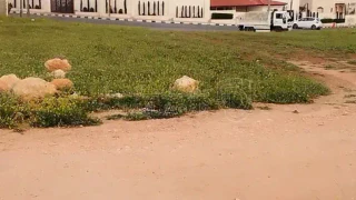 أرض - ارض للبيع - 85555 دأ