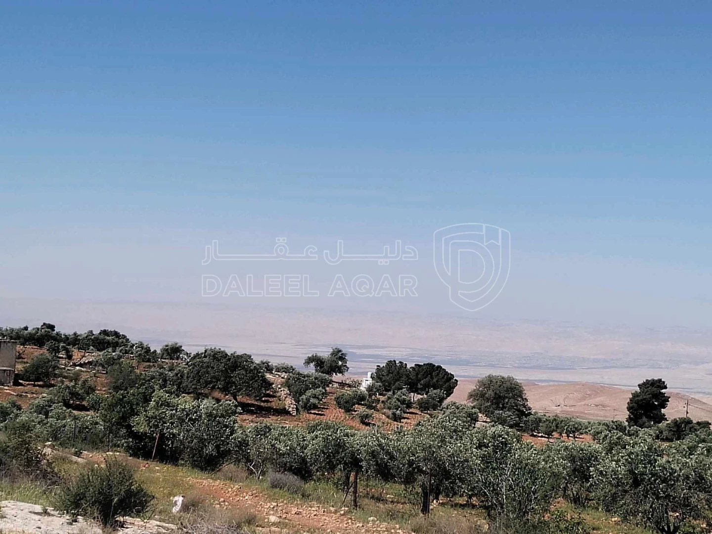 أرض في غرب عمان حوض ابو السمسم  - 285,000 دأ - صورة 1