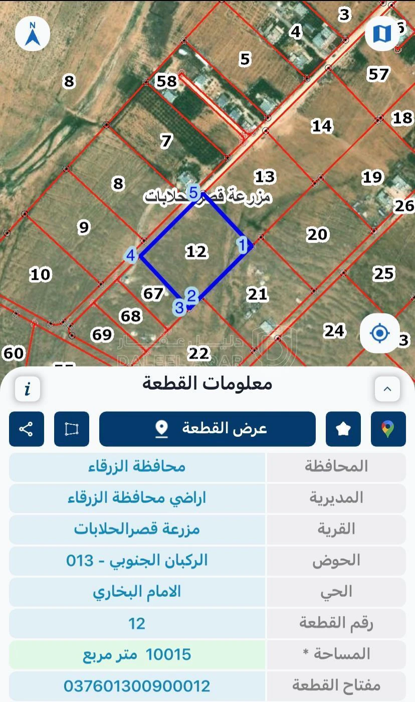 أرض في محافظة الزرقاء - قصر الحلابات  - 65,000 دأ - صورة 1