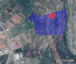 أرض في ارض زراعية للبيع  - 7,500 دأ - صورة 1