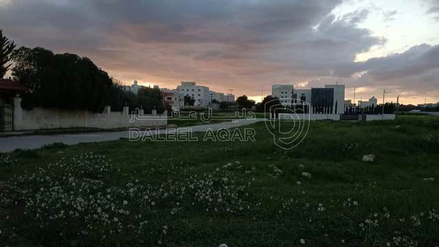 أرض - مادبا الخطابيه حوض حنو السيسيبان  - 87000 دأ