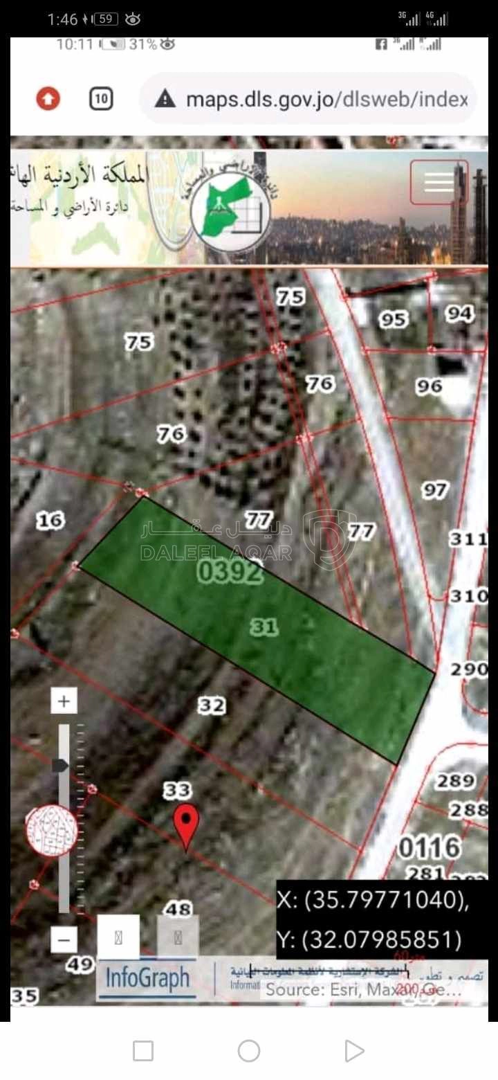 أرض في ٥ دونم في السلط غرب معسكرات الحسين للشباب  - 250,000 دأ - صورة 1