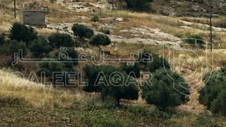 أرض - شمال عمان/ بدران/ حوض الذهيبة قرب اكاديمية الفيحاء - 118000 دأ