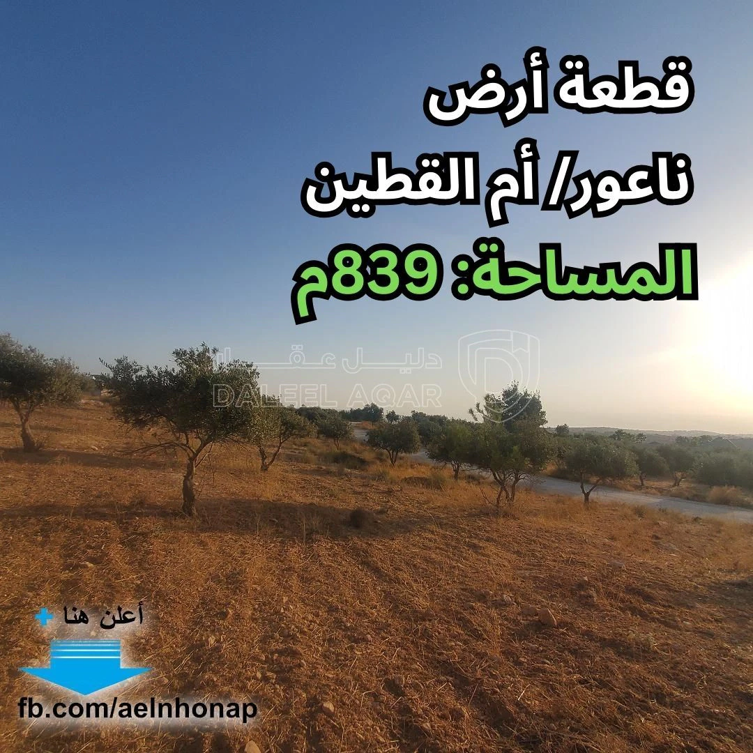 أرض في ناعور/ أم القطين - قرب مسجد الفاروق - 80,000 دأ - صورة 1