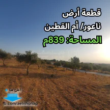 أرض - ناعور/ أم القطين - قرب مسجد الفاروق - 80000 دأ