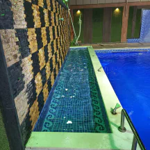 مزرعة/شاليه في الغور  - الروضه  - 92,000 دأ - صورة NaN