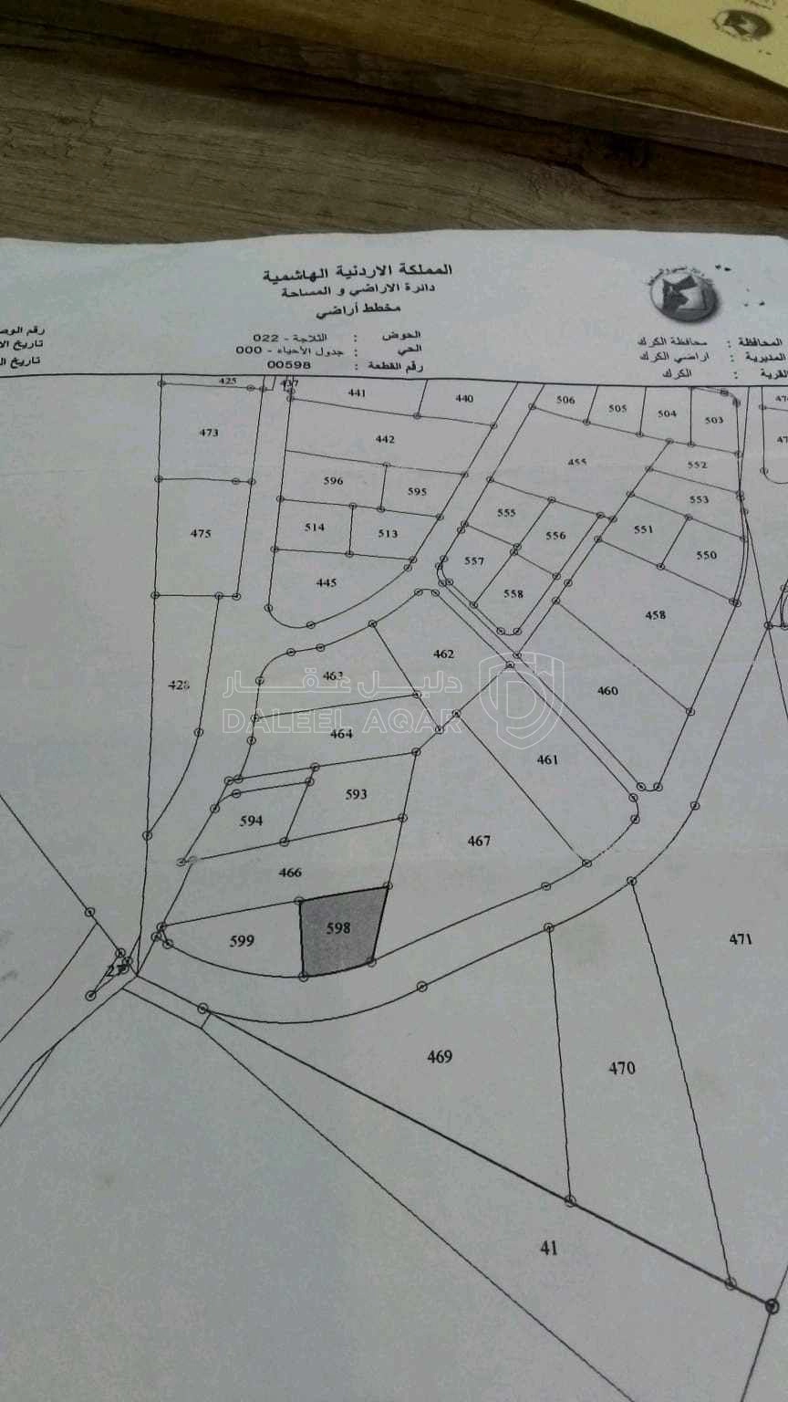 أرض في الكرك الثلاجه - 10,000 دأ - صورة 1