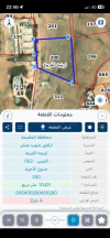 أرض في قطعة لواء الجيزة ارينبة الغربية  - 104,310 دأ - صورة NaN