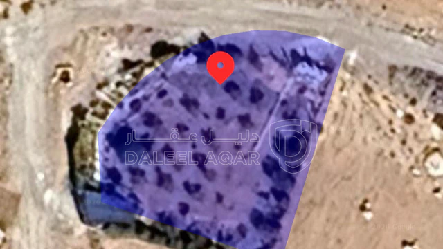 أرض - منطقه ام رمانه تبعد عن شفاء بدران 3 كيلو  - 45000 دأ