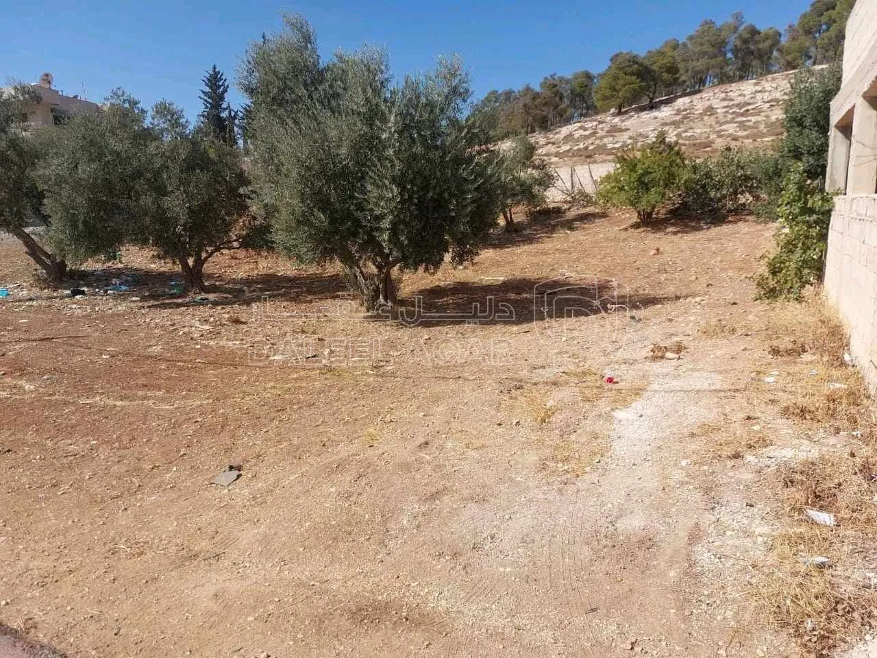 أرض في اليادودة قرب مسجد عبد الله بن السرجس  - 80,000 دأ - صورة 1