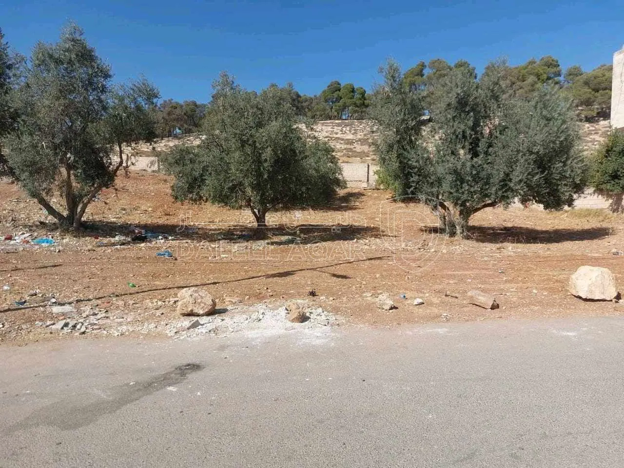 أرض في اليادودة قرب مسجد عبد الله بن السرجس  - 80,000 دأ - صورة 1