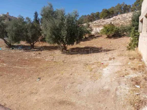 أرض في اليادودة قرب مسجد عبد الله بن السرجس  - 80,000 دأ - صورة NaN