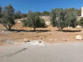 أرض في اليادودة قرب مسجد عبد الله بن السرجس  - 80,000 دأ - صورة NaN