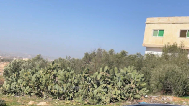 أرض في اربد_ بيت راس - 24,000 دأ - صورة NaN