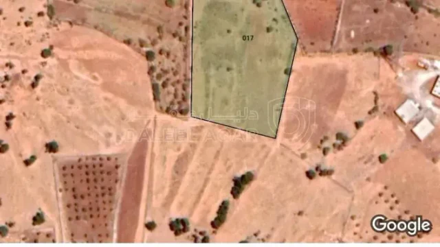 أرض - عجلون اشتفينا مقابل قلعة عجلون - 27000 دأ