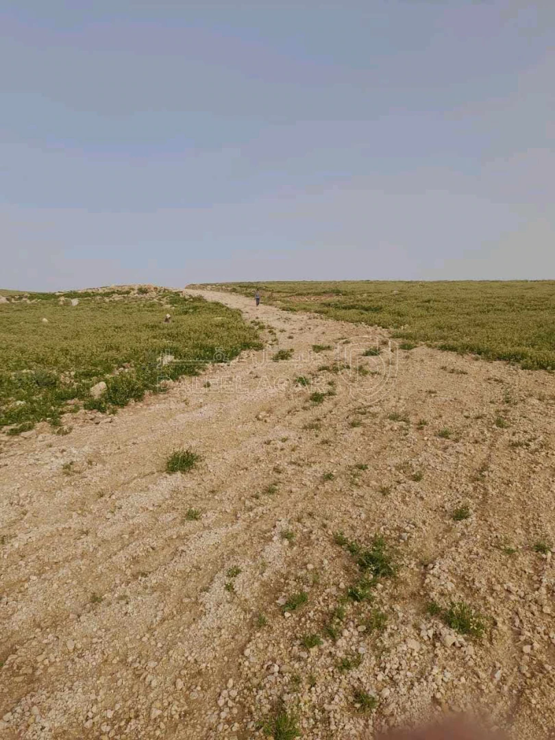 أرض في عمان الماضونة تبعد عن شارع المية ٥٠٠ متر  - 12,000 دأ - صورة 2