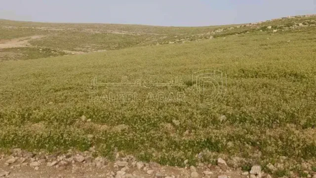 أرض في عمان الماضونة تبعد عن شارع المية ٥٠٠ متر  - 12,000 دأ - صورة 1