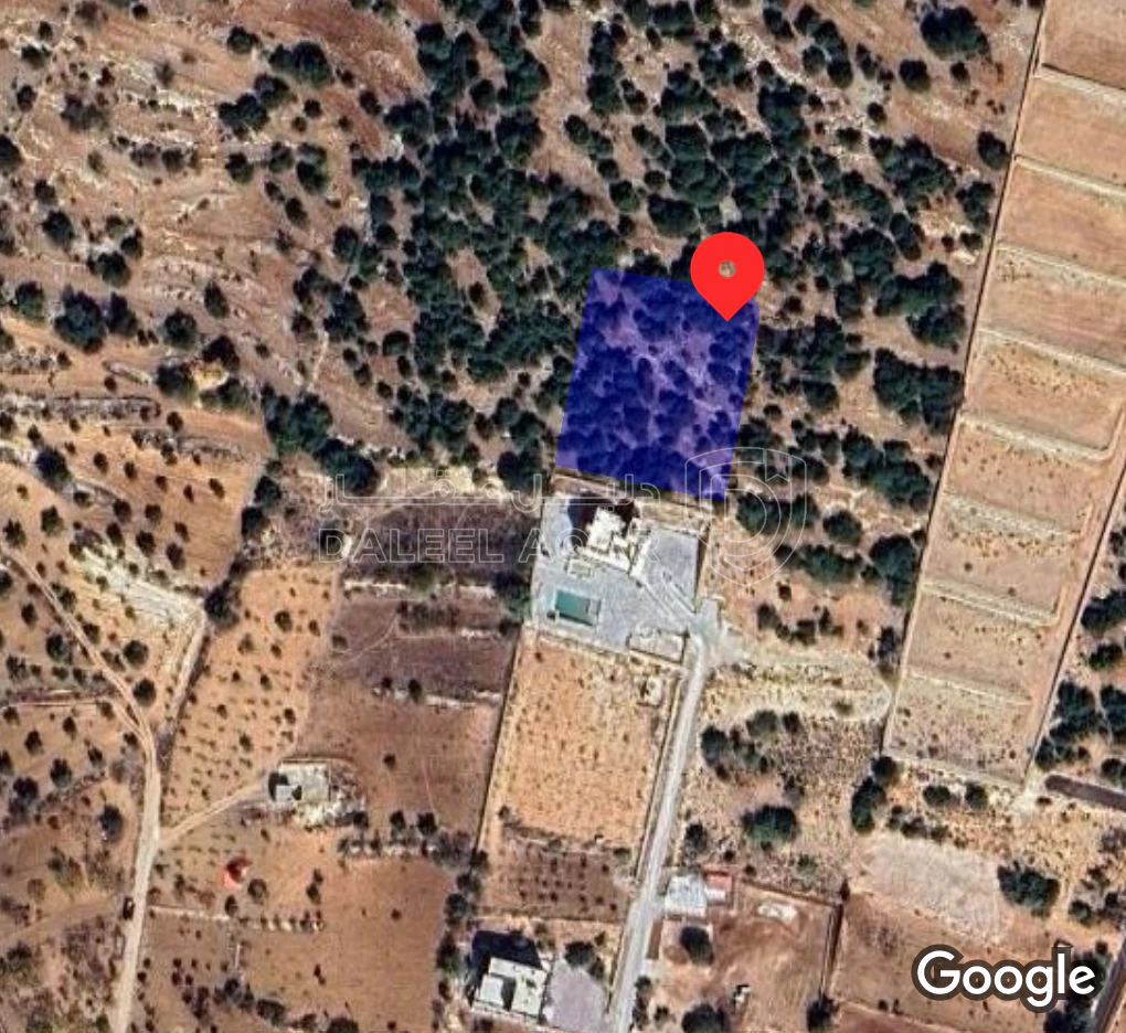 أرض في عبين عبلين محافظة عجلون. الاردن - 63,000 دأ - صورة 1