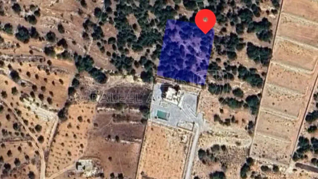 أرض في عبين عبلين محافظة عجلون. الاردن - 63,000 دأ - صورة 1