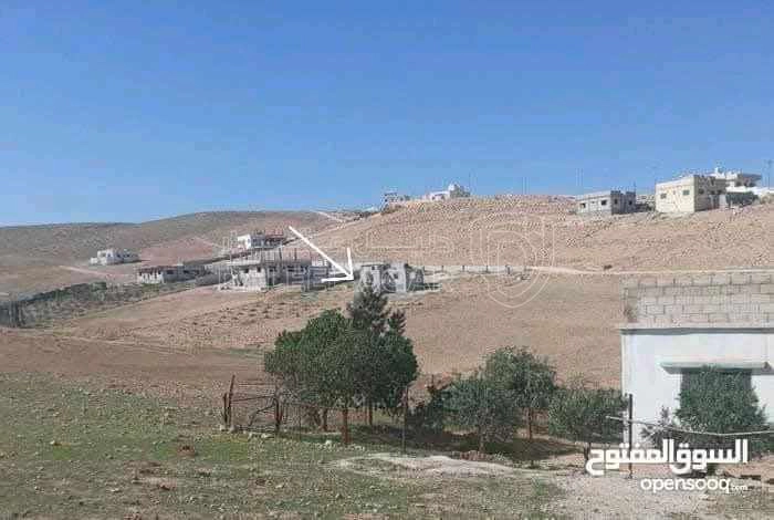 أرض في الزينه /منطقة المزرعة  - 35,000 دأ - صورة 1