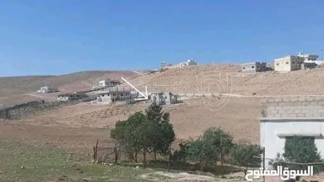 أرض في الزينه /منطقة المزرعة  - 35,000 دأ - صورة 1