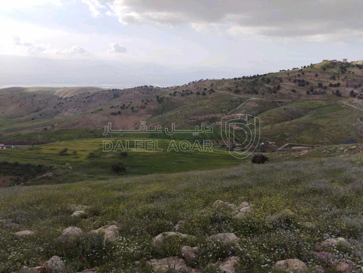 أرض في السلط عيرا ويرقا  - 45,000 دأ - صورة 1