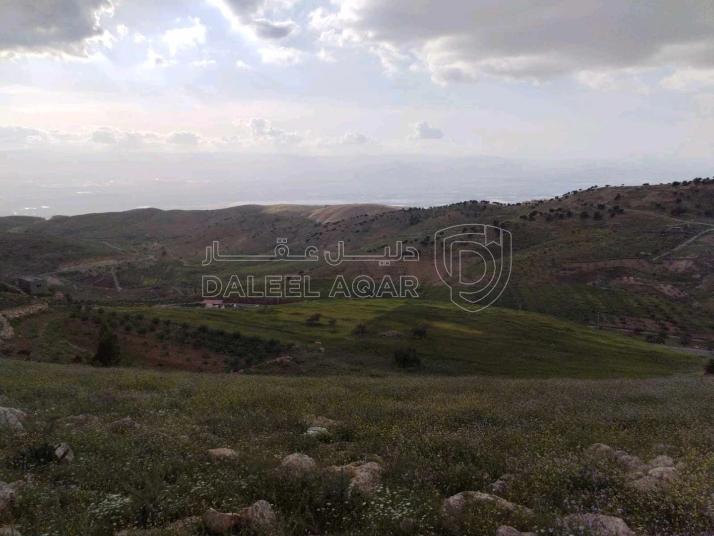 أرض في السلط عيرا ويرقا  - 45,000 دأ - صورة 1