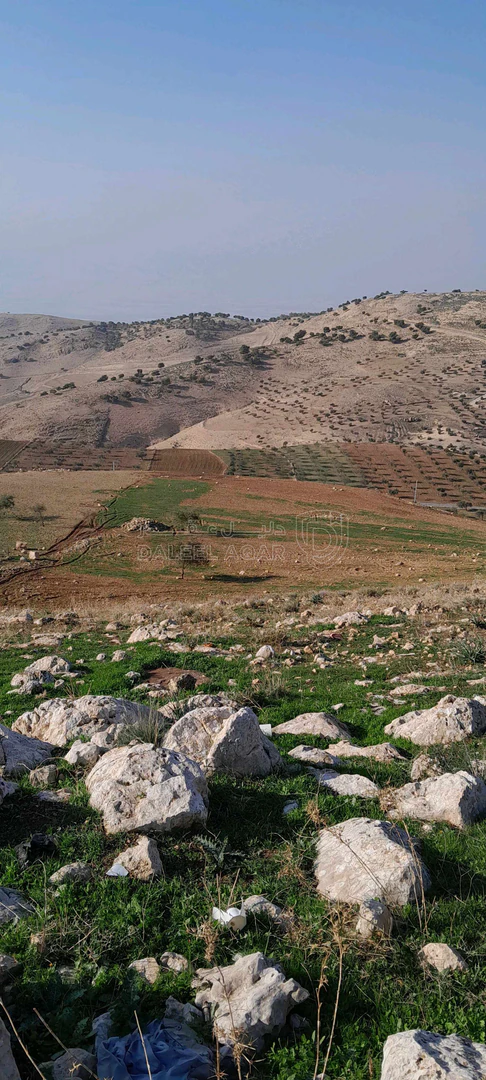 أرض في السلط عيرا ويرقا  - 45,000 دأ - صورة 1