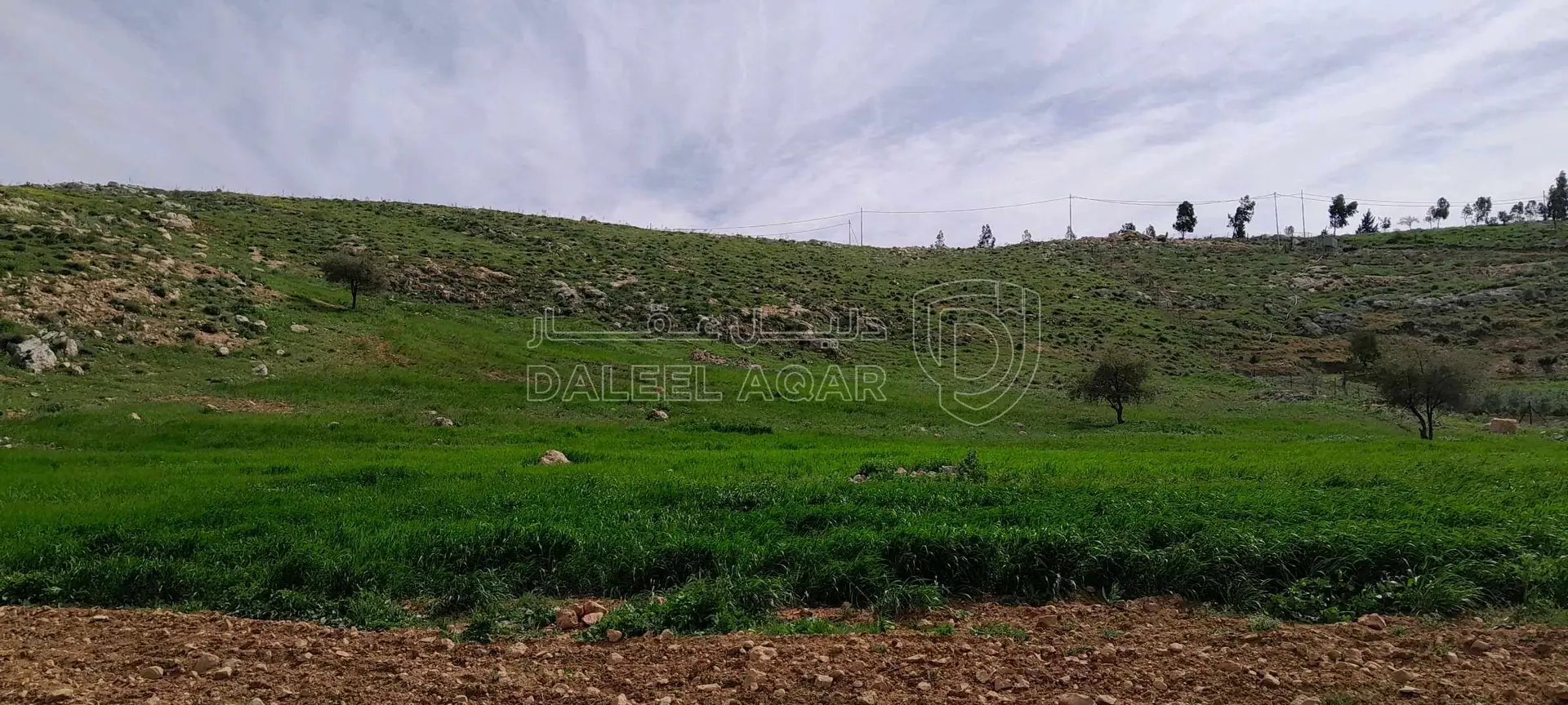 أرض في السلط عيرا ويرقا  - 45,000 دأ - صورة 1