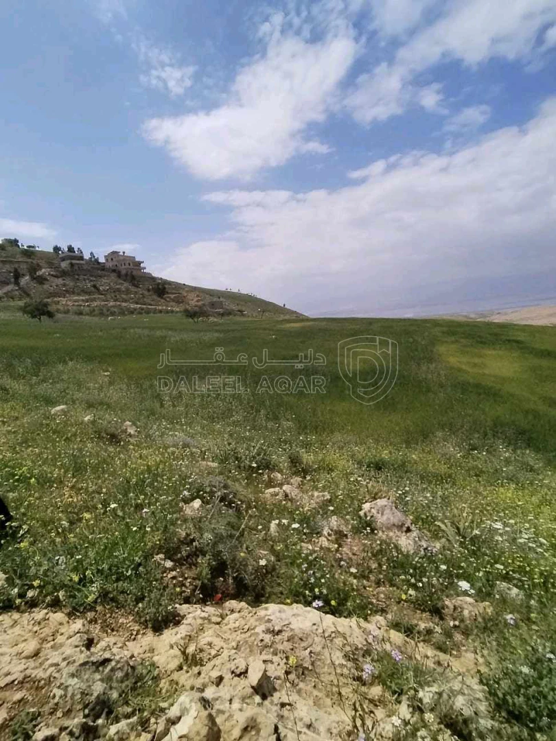 أرض في السلط عيرا ويرقا  - 45,000 دأ - صورة 1