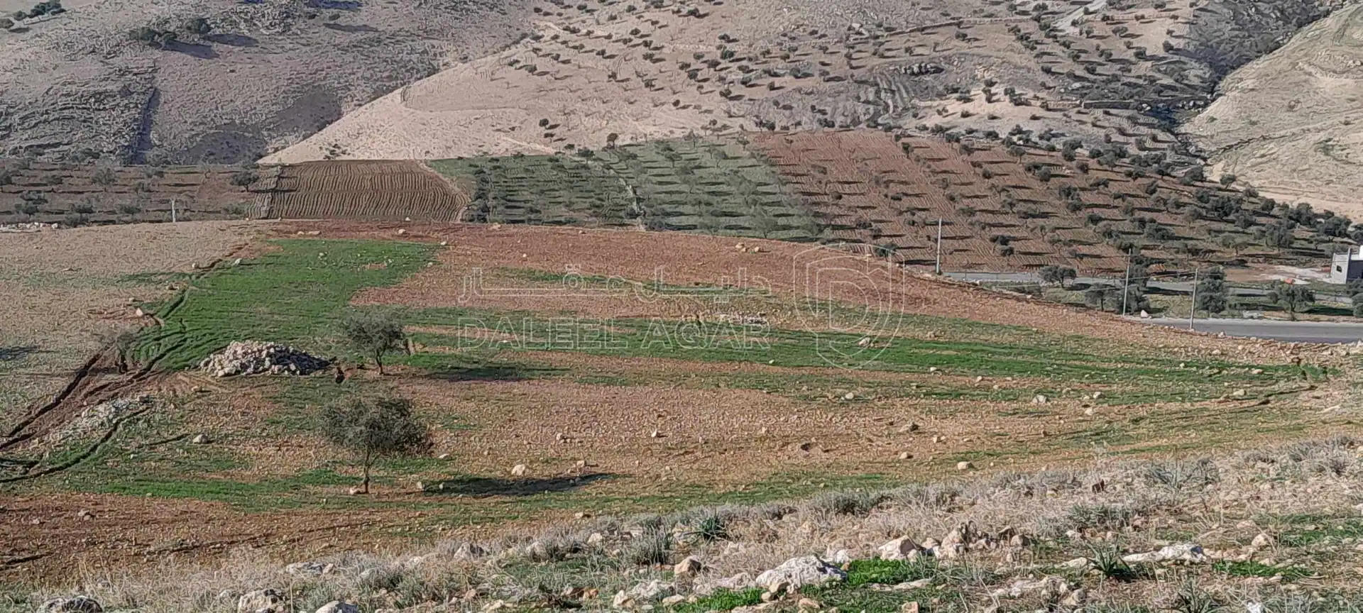 أرض في السلط عيرا ويرقا  - 45,000 دأ - صورة 1