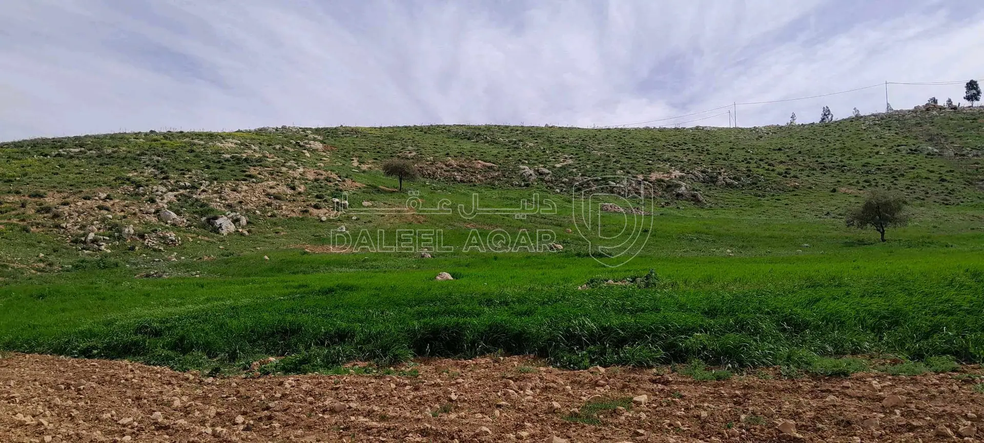 أرض في السلط عيرا ويرقا  - 45,000 دأ - صورة 1