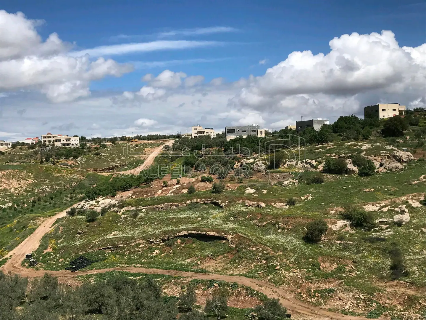 أرض في اربد - الوسطية - كفرعان  - 30,000 دأ - صورة 1