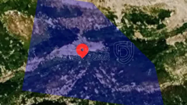 أرض - الهاشمي الشمالي حي الزغاتيت قرب مسجد العباس  - 565000 دأ