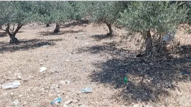 أرض - اربد البارحه اول ابان - 27000 دأ