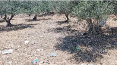 أرض - اربد البارحه اول ابان - 27000 دأ