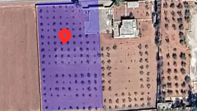 أرض - الرجاء الاتصال عند الكشف لفتح البوابه - 290000 دأ