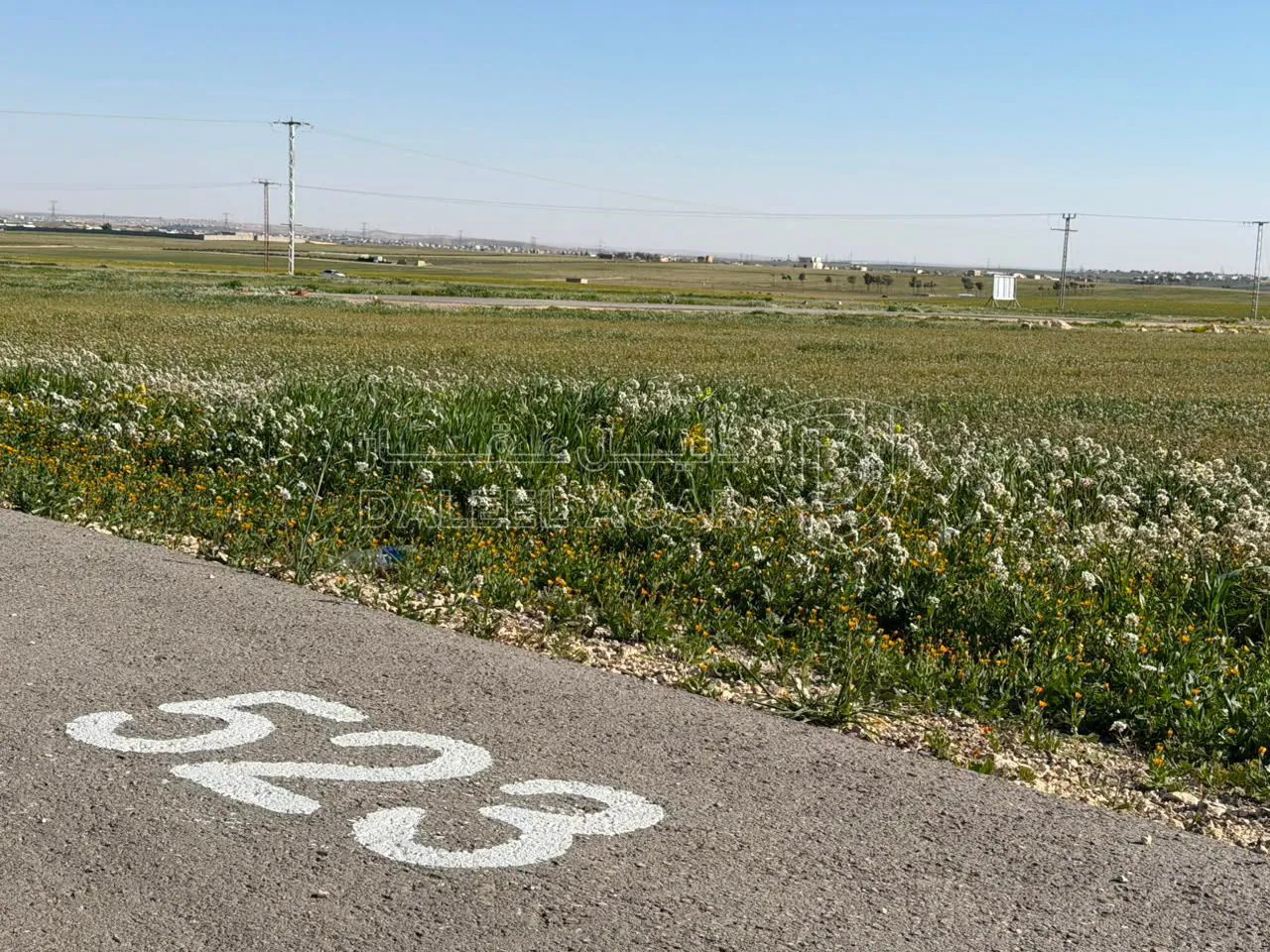 أرض في شارع الاربعين - طريق المطار - 36,000 دأ - صورة 1
