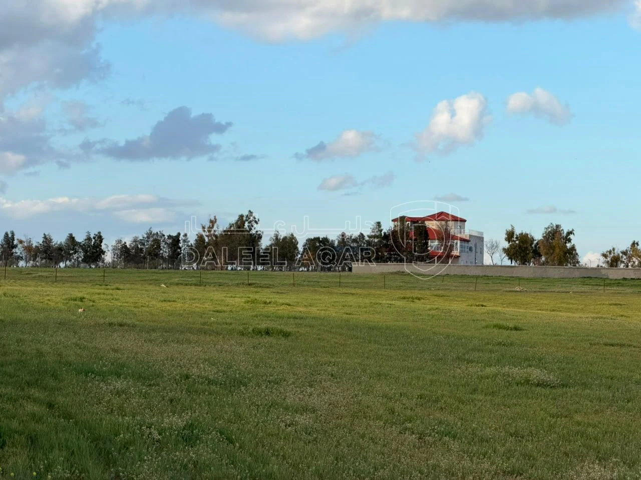 أرض في شارع الاربعين - طريق المطار - 36,000 دأ - صورة 1