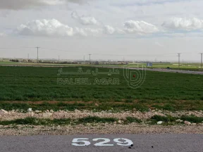 أرض في شارع الاربعين - طريق المطار - 36,000 دأ - صورة NaN