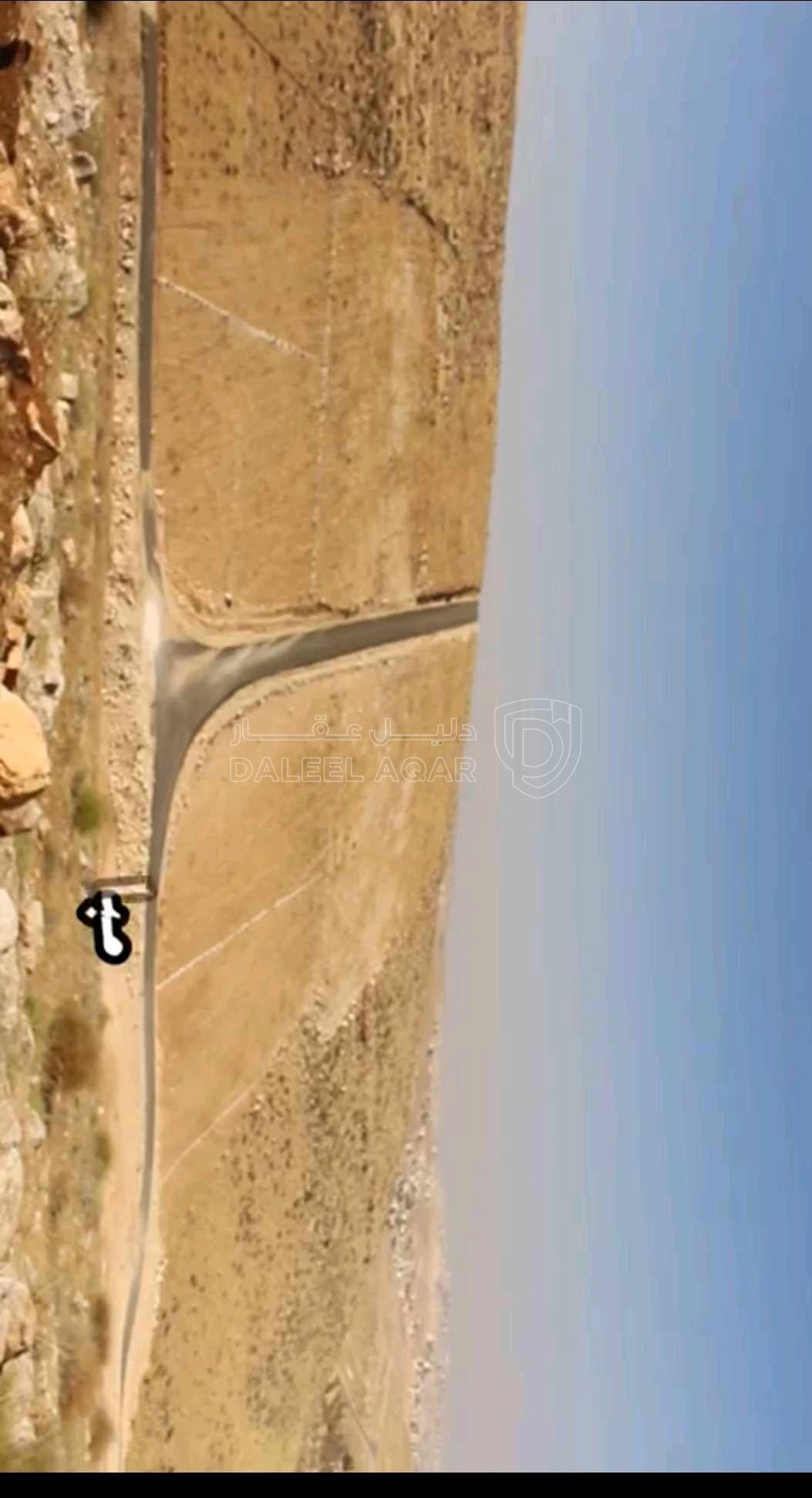 أرض في الزرقاء جريبه مقابل ضاحيه المدينه - 70,000 دأ - صورة 1