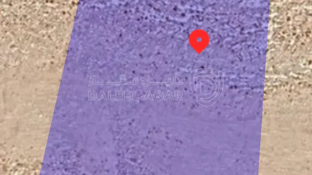 أرض في الزرقاء جريبه مقابل ضاحيه المدينه - 70,000 دأ - صورة 1