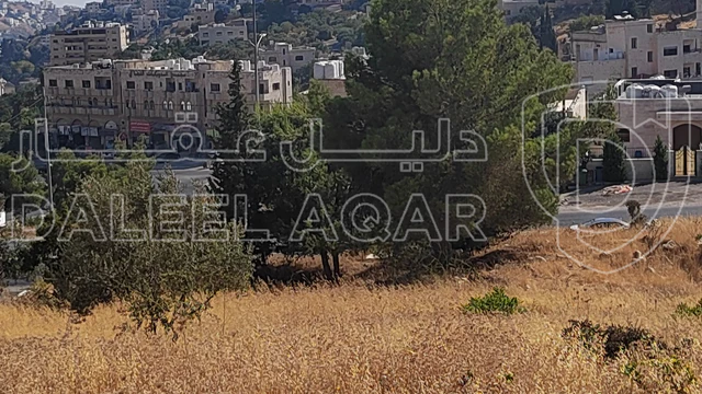 أرض - للبيع قطعة أرض مميزة في السلط ضاحية الزهور.   - 165000 دأ