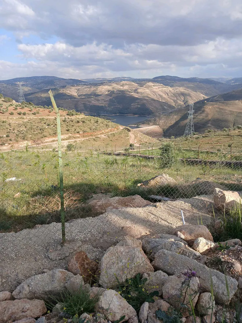 أرض في جرش برما - 90,000 دأ - صورة 1