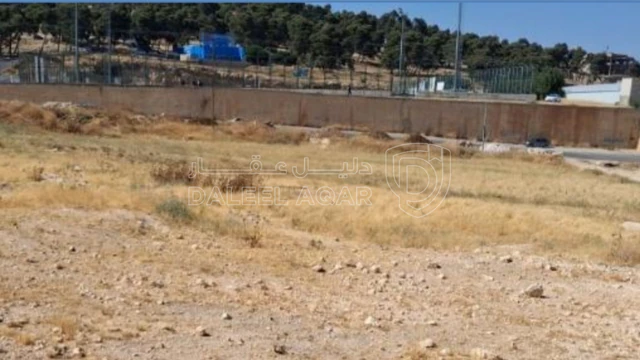 أرض في شارع المطار مقابل ملاعب النادي الفيصلي  - 1,100,000 دأ - صورة NaN