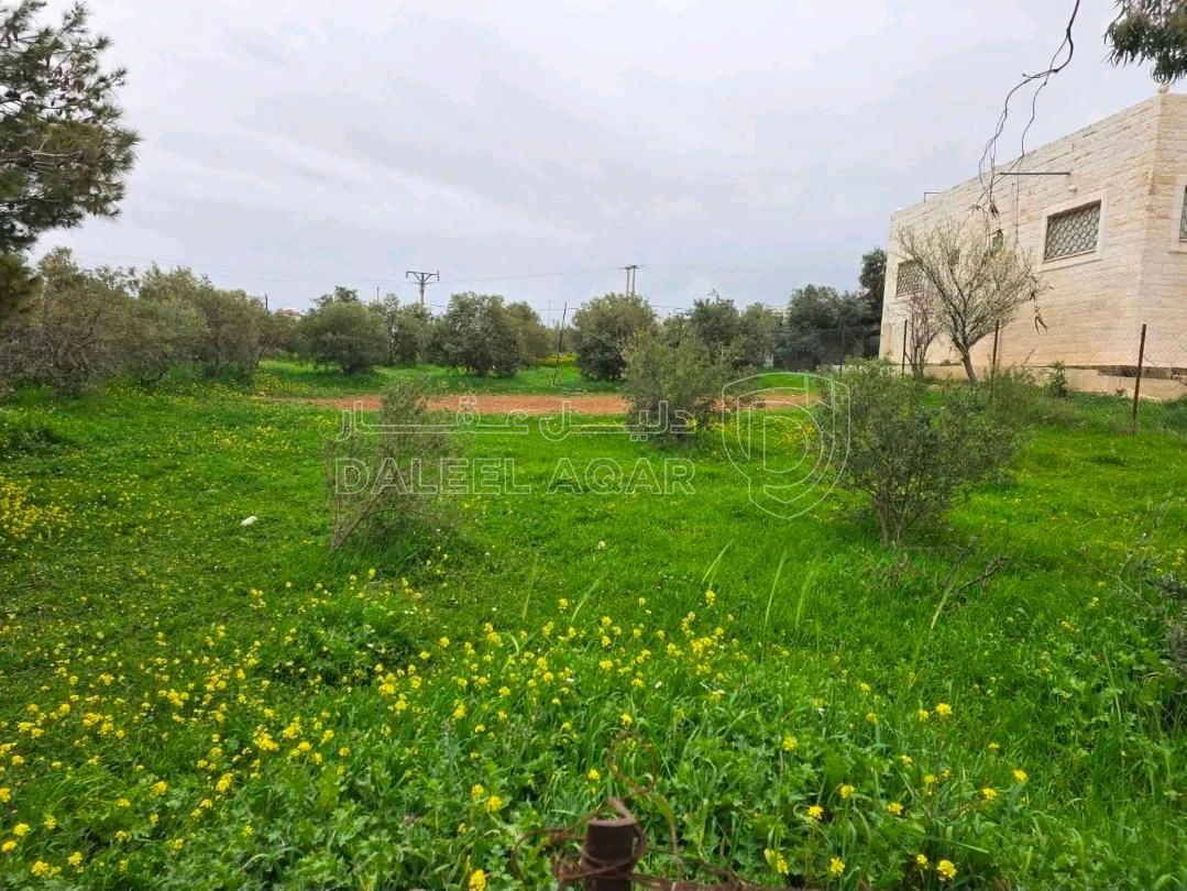 أرض في الحصن طريق كتم حوض المراح وأم الغزلان - 49,000 دأ - صورة 1