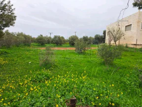 أرض في الحصن طريق كتم حوض المراح وأم الغزلان - 49,000 دأ - صورة NaN