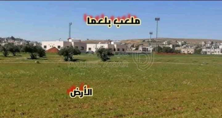 أرض في ارض داخل التنظيم على شارعين للبيع في بلعما  - 14,300 دأ - صورة 2