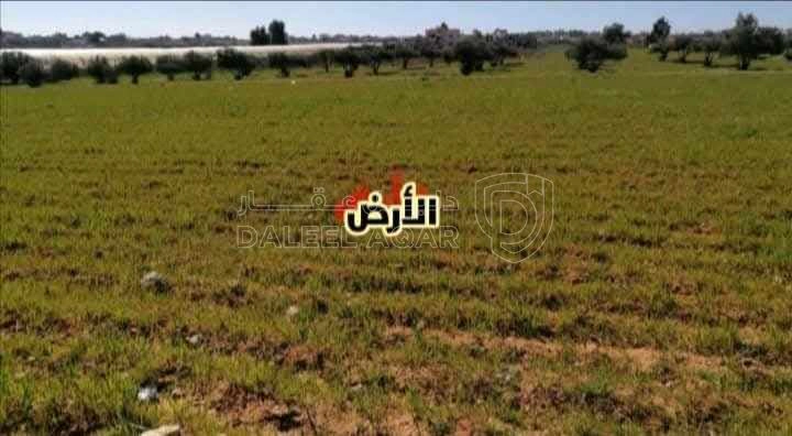 أرض في ارض داخل التنظيم على شارعين للبيع في بلعما  - 14,300 دأ - صورة 3