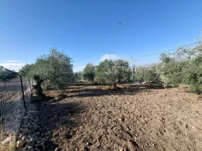 أرض في قرب مسجد سيحان ب ٥٠٠متر   - 25,000 دأ - صورة NaN